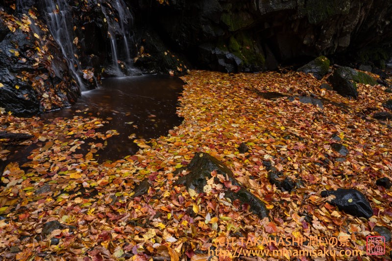 ../Images/7R251109 (181).jpg